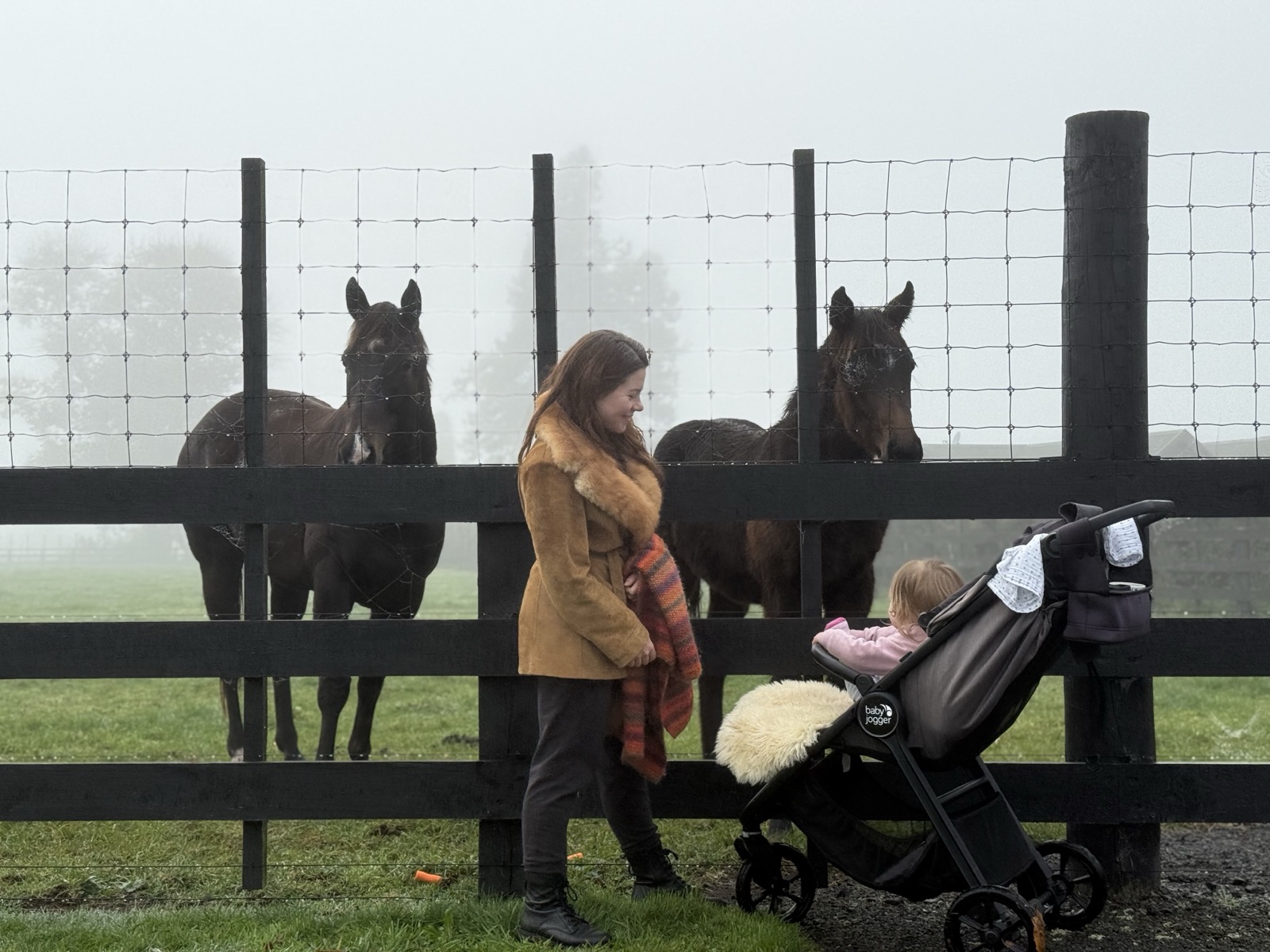 Lisa visiting horses in the New Zealand countryside